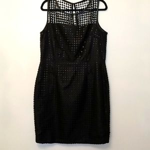 Calvin Klein Little Black Dress